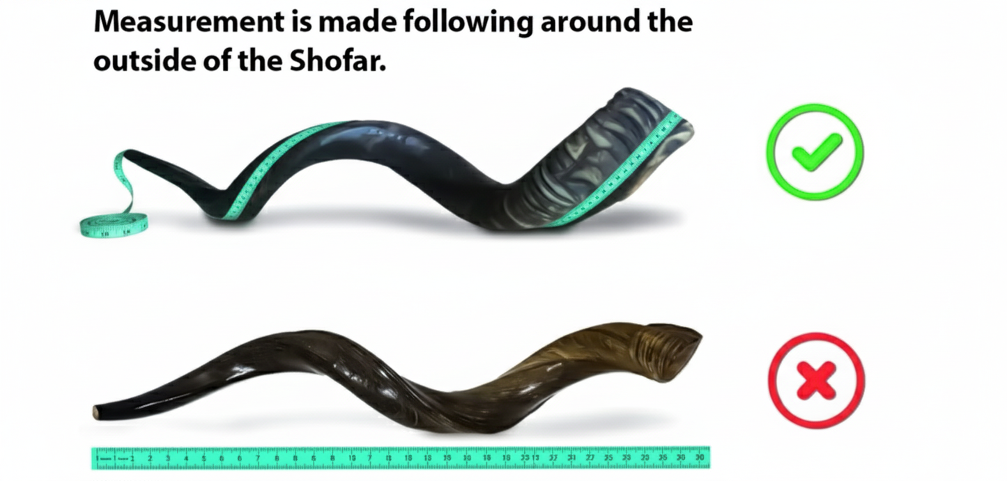 EchoHorn™ Kudu Shofar